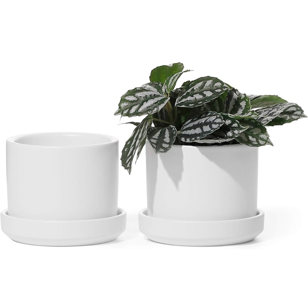 White Ceramic Planter Set